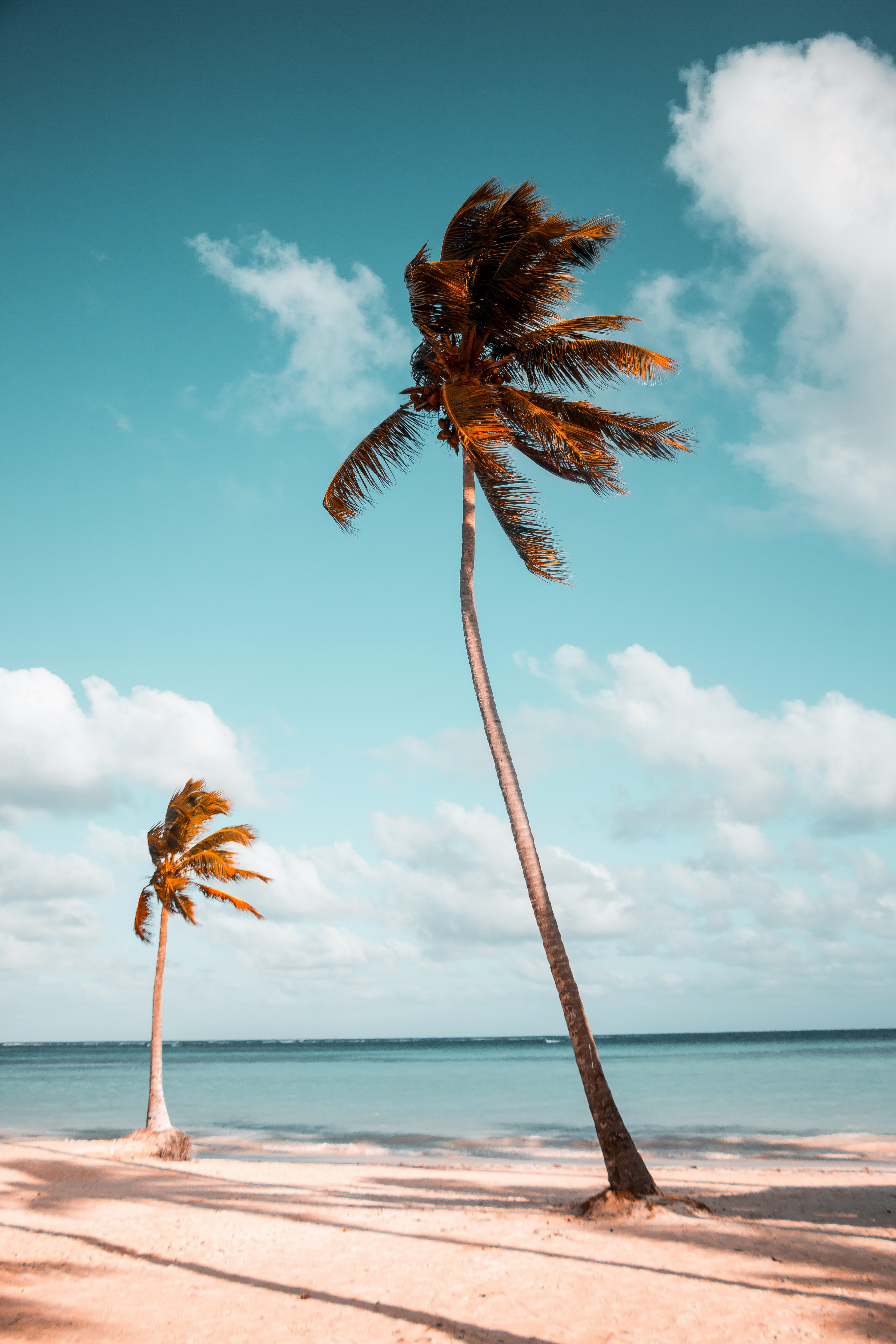 login-registration-modal-img